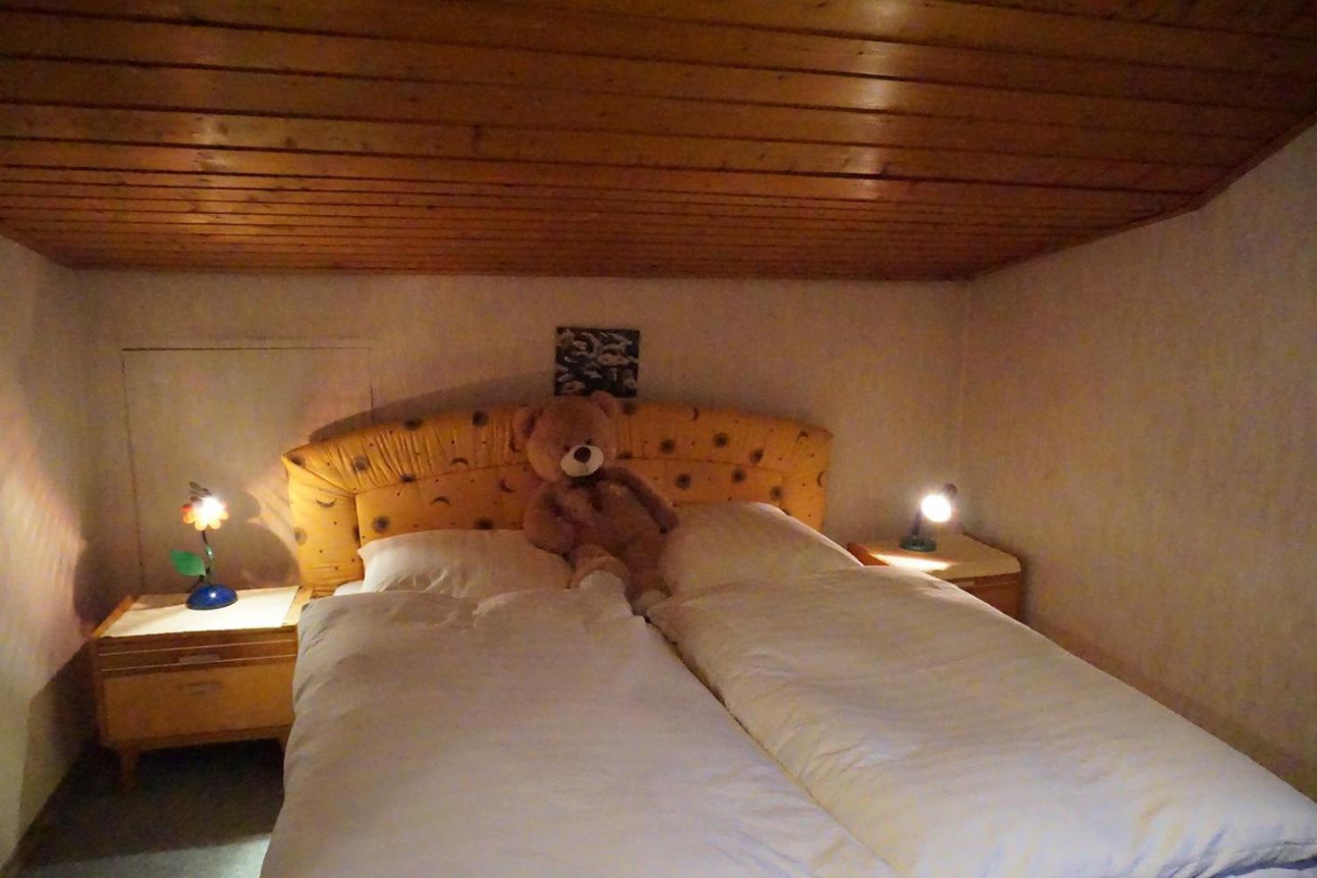 Haus Alpenblick Inkl. Chiemgaukarte Apartment Руполдинг Екстериор снимка