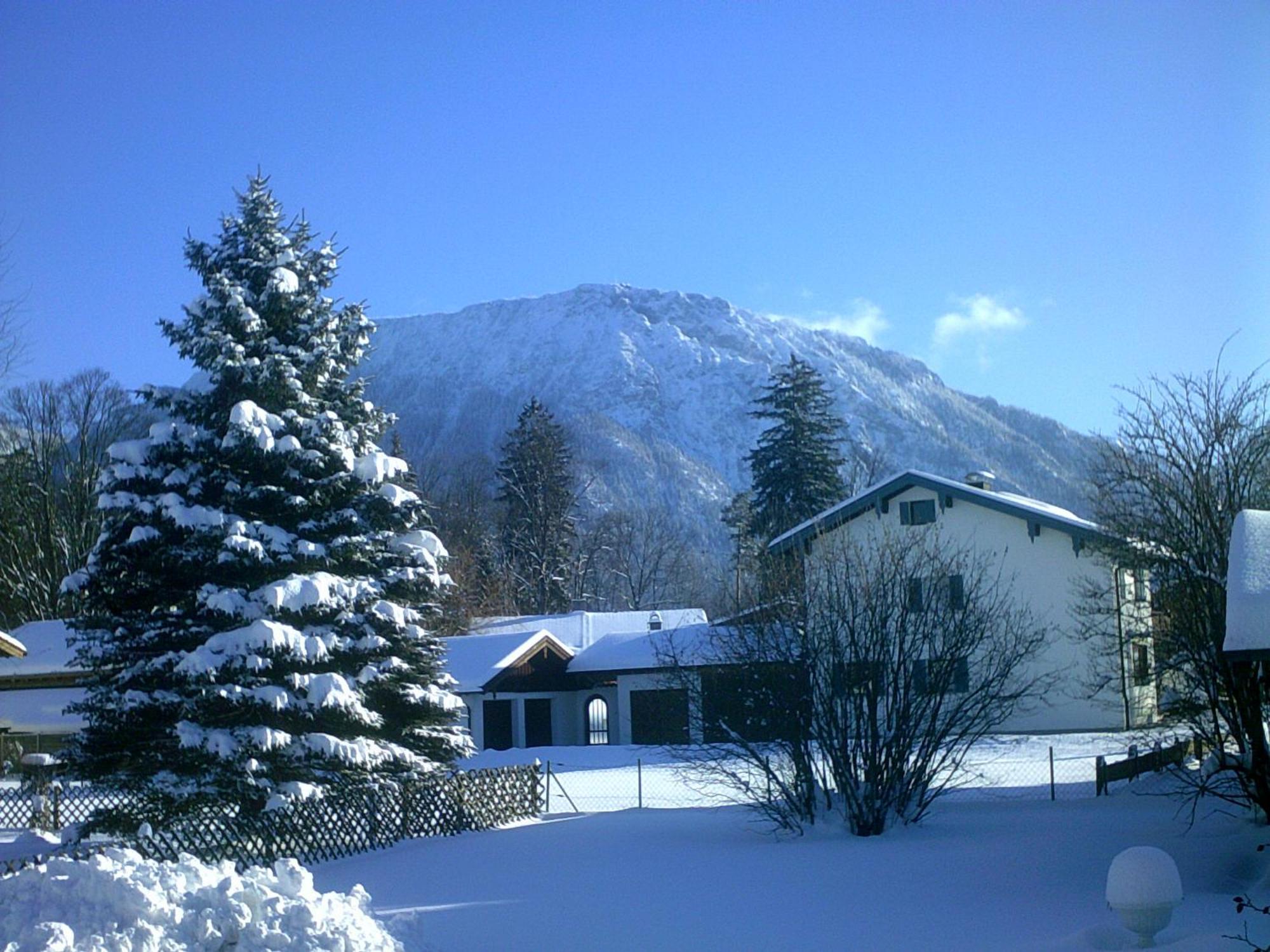 Haus Alpenblick Inkl. Chiemgaukarte Apartment Руполдинг Екстериор снимка